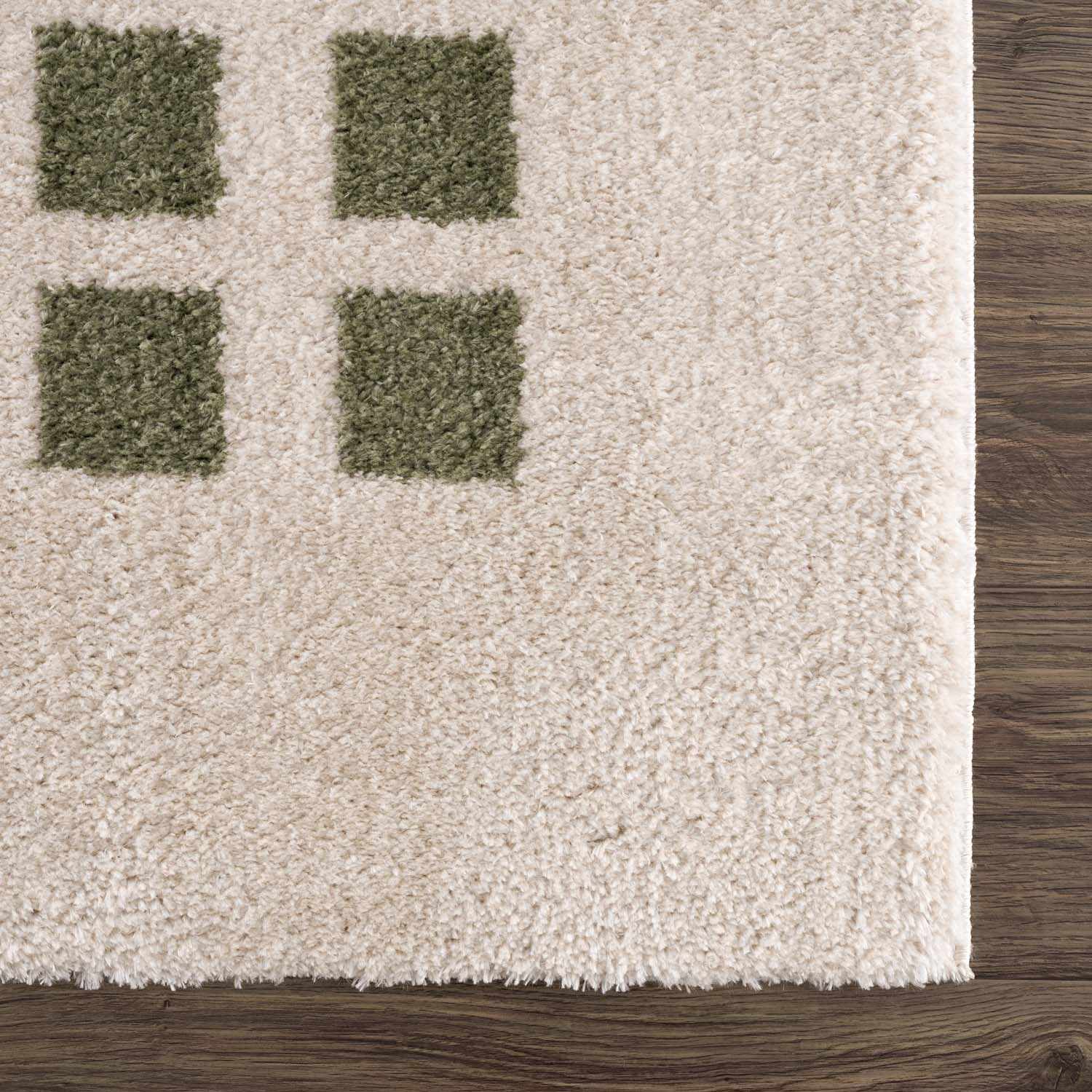 Baback Green Washable Area Rug