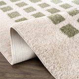 Baback Green Washable Area Rug
