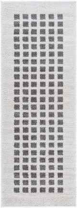 Baback Charcoal Washable Area Rug