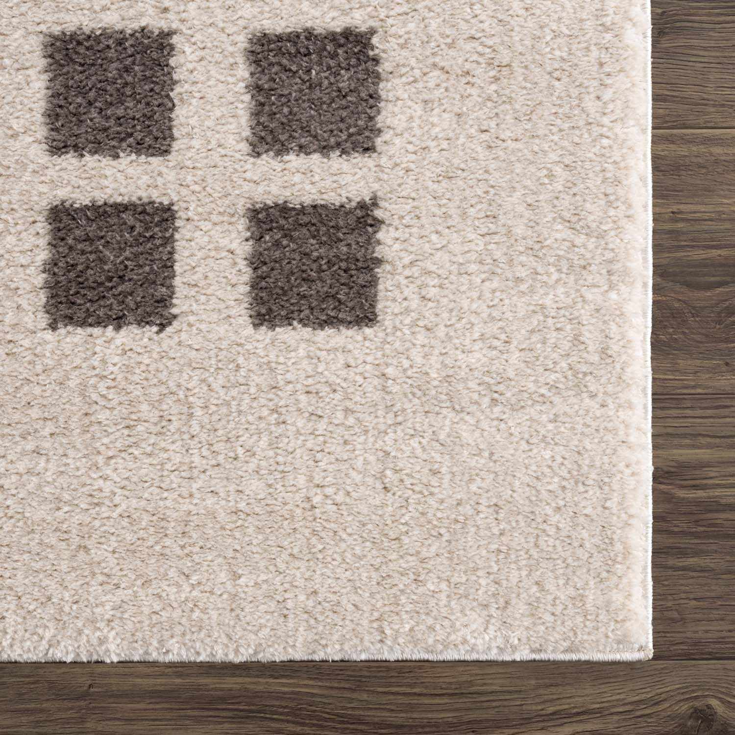 Baback Charcoal Washable Area Rug