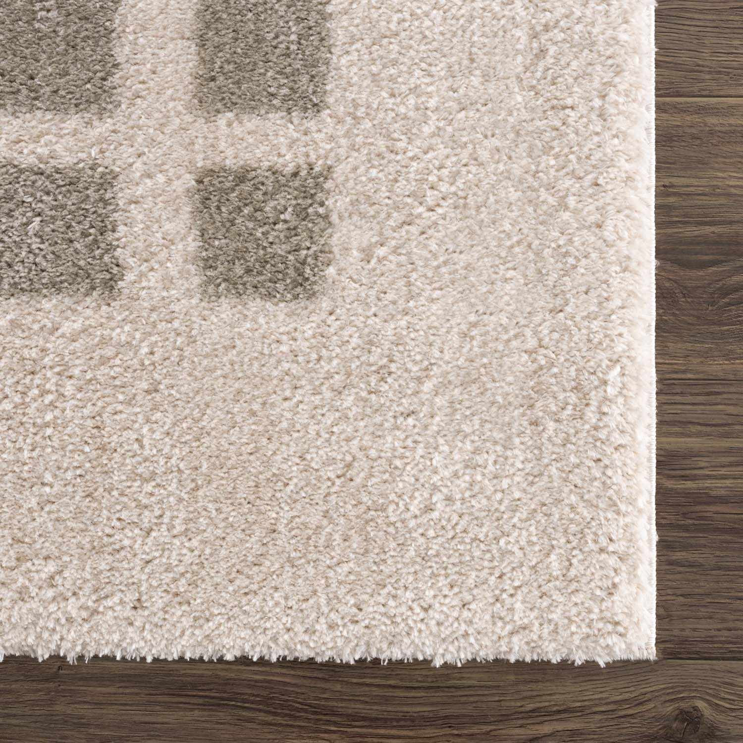 Baback Gray Washable Area Rug