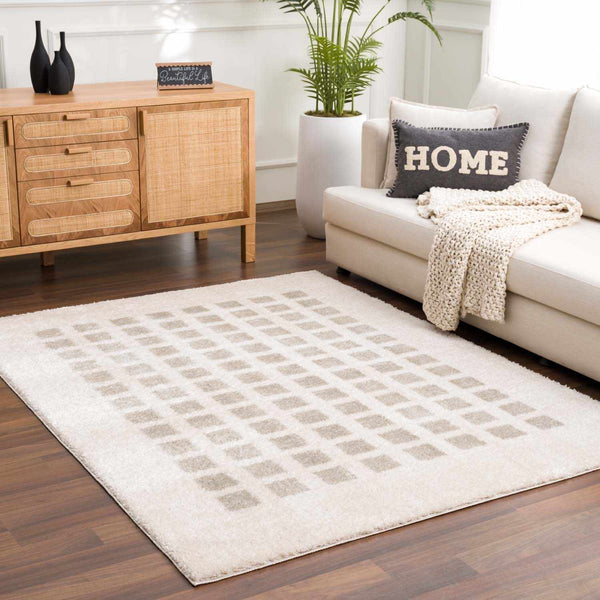 Baback Gray Washable Area Rug