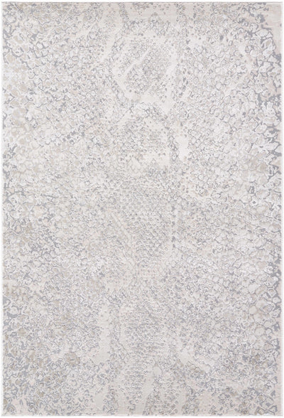 Basima Area Rug