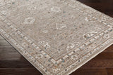 Bolitoc Area Rug - Clearance