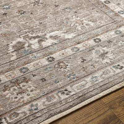 Bolitoc Area Rug