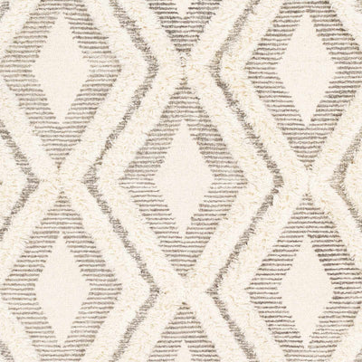 Sample Boncarbo Area Rug