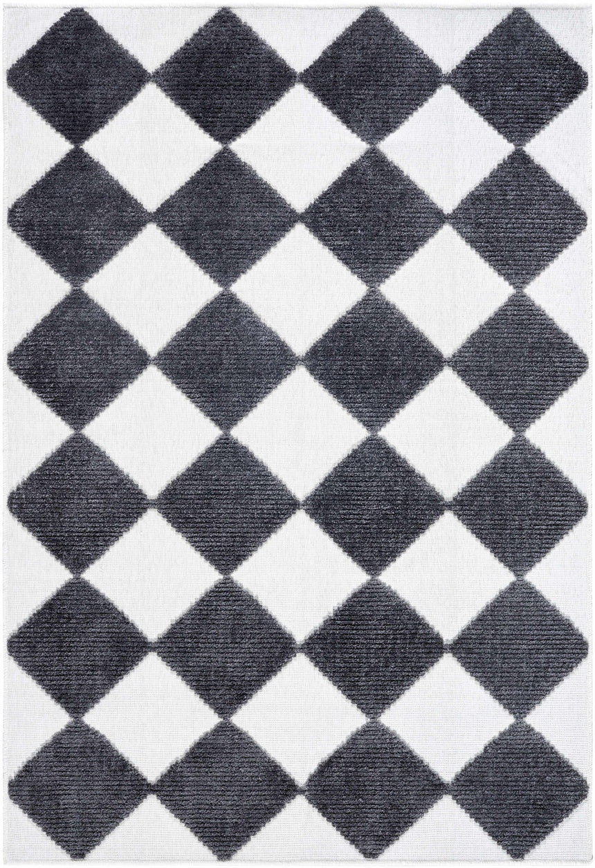 Bosley Black Washable Area Rug