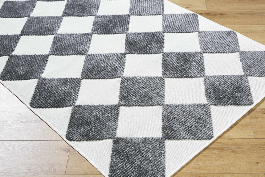 Bosley Black Washable Area Rug