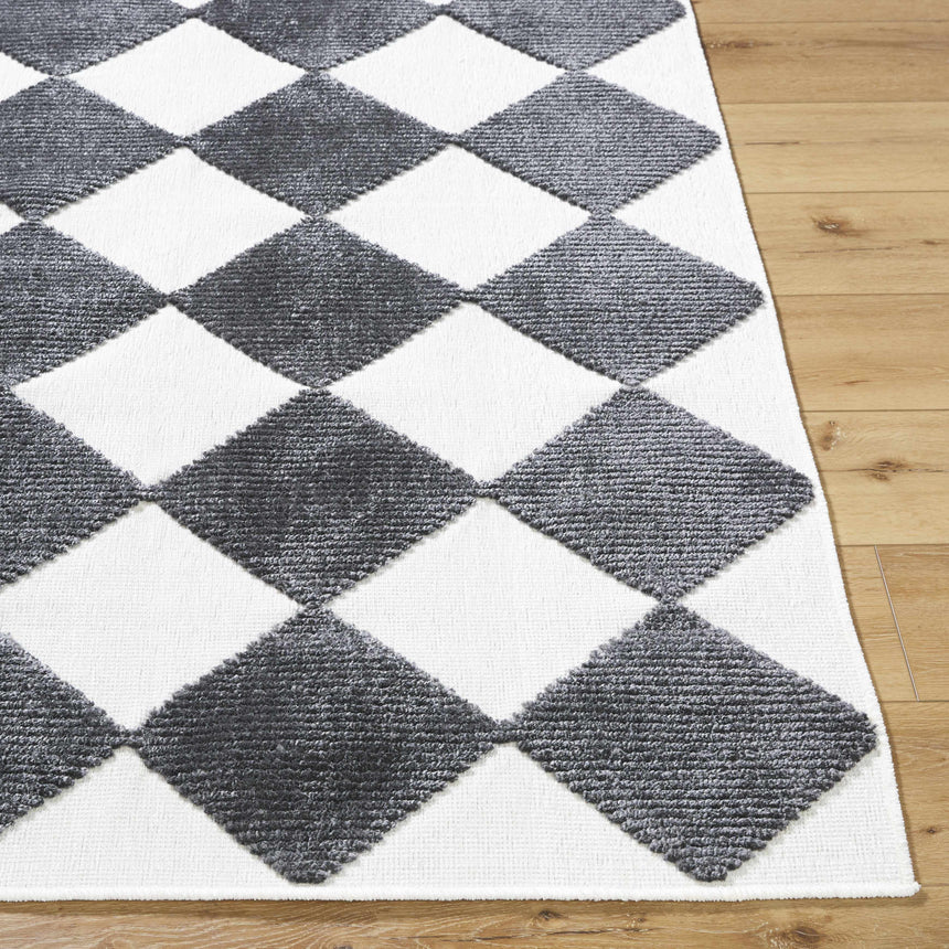 Bosley Black Washable Area Rug