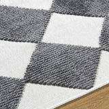 Bosley Black Washable Area Rug