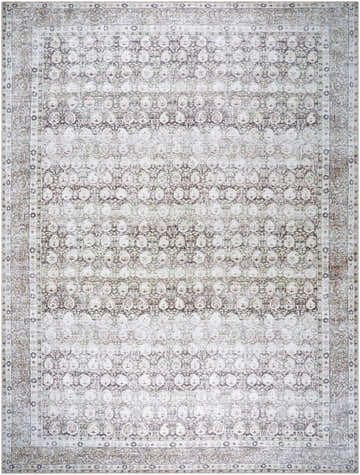 Detailed Lorelai rug close-up. Beige, cream, brown, and rust tones in a traditional, distressed pattern. Washable polyester. Design-Rectangle-810