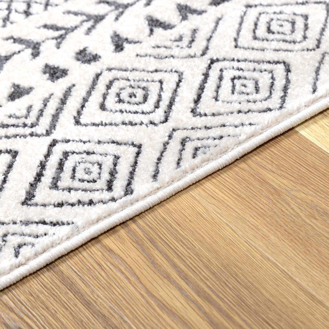 Burdette Area Rug - Farmhouse Style Soft Neutral Rug – Boutique Rugs