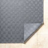Arifah Gray Area Rug