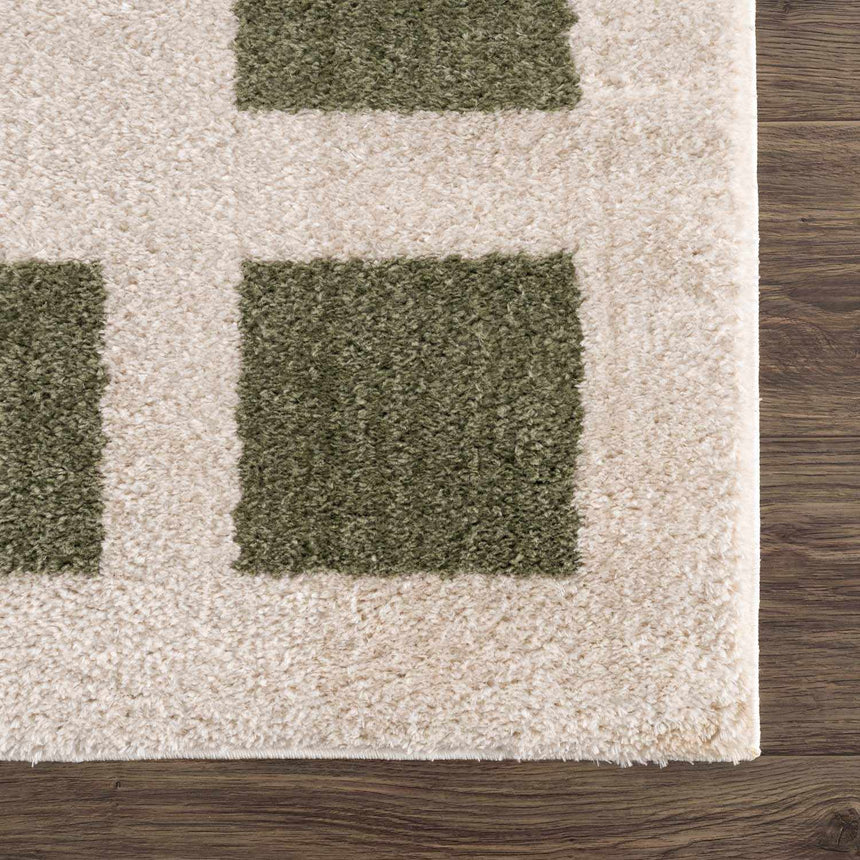 Beynon Green Washable Area Rug