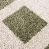 Beynon Green Washable Area Rug