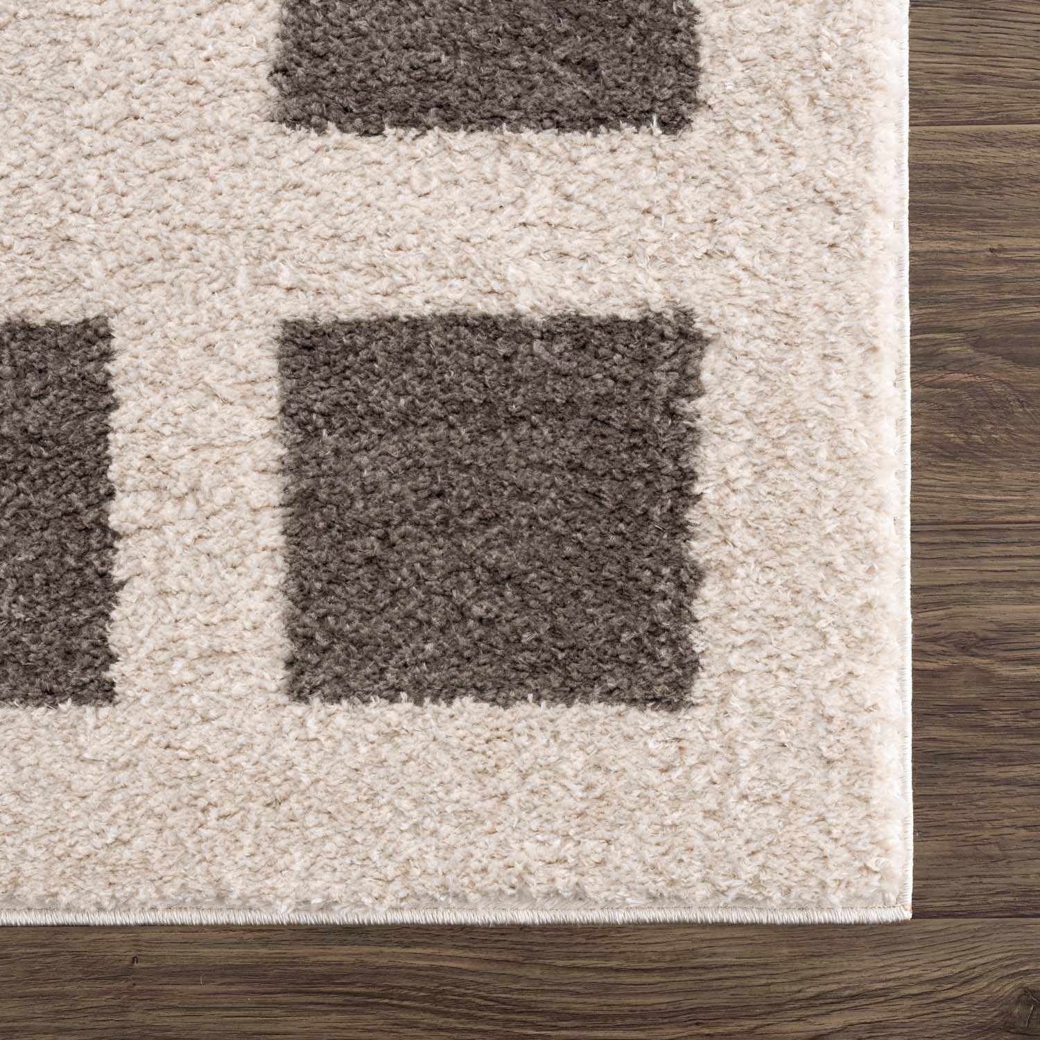 Beynon Charcoal Washable Area Rug