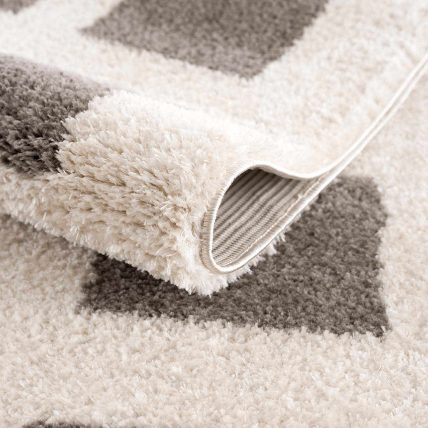 Beynon Charcoal Washable Area Rug