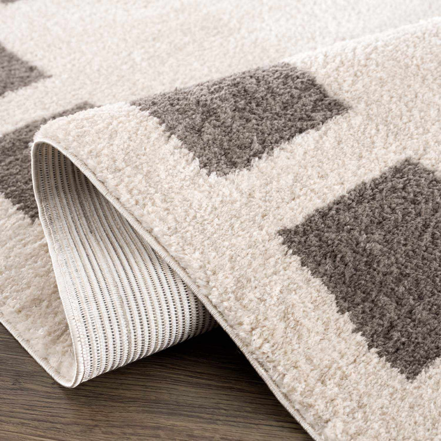 Beynon Charcoal Washable Area Rug