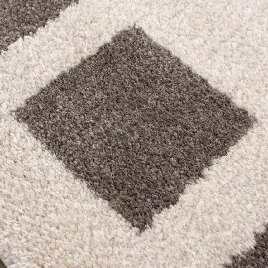 Beynon Charcoal Washable Area Rug
