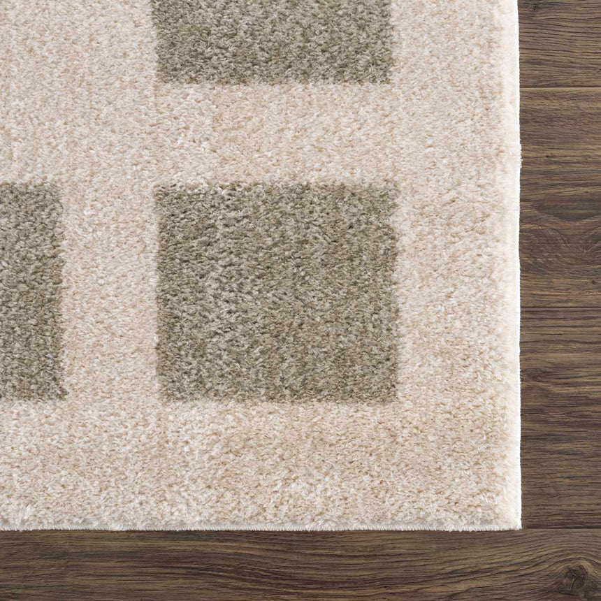 Beynon Gray Washable Area Rug