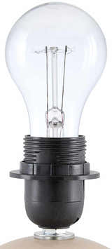 Brennberg Coral Table Lamp