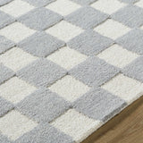 Amparo Medium Gray Area Rug