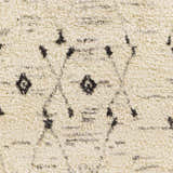 Sample Buronga Area Rug - Promo
