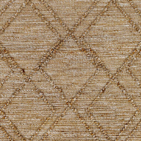 Sample Buse Hand Woven Beige Area Rug