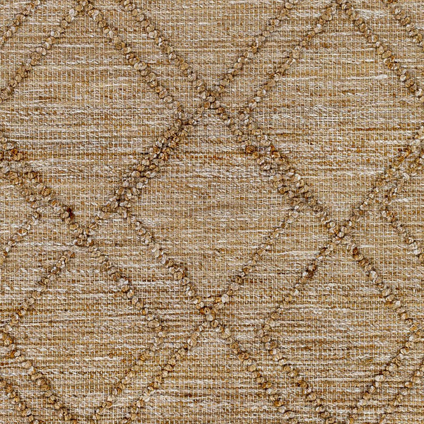 Sample Buse Hand Woven Beige Area Rug
