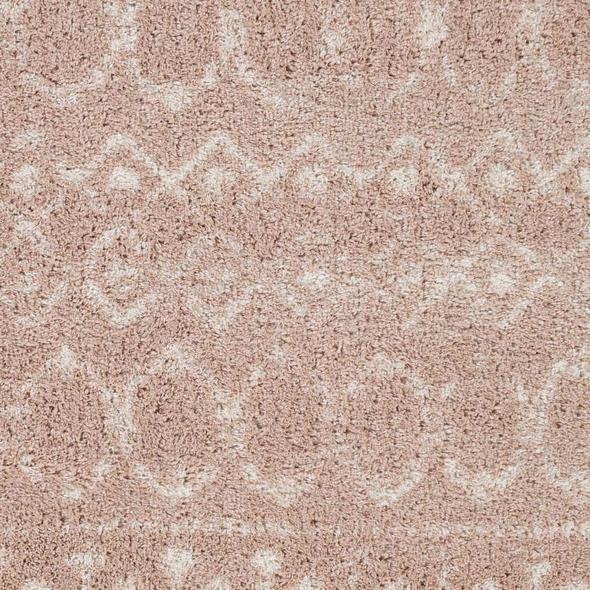 Sample Blush Plush Area Rug