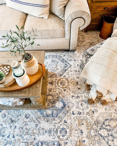 Parkerfield Cream & Blue Area Rug