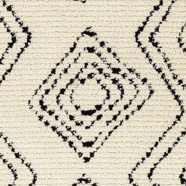 Sample Canhaway Area Rug