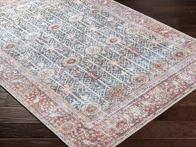 Rust&Navy Persian Style Washable Area Rug - Clearance