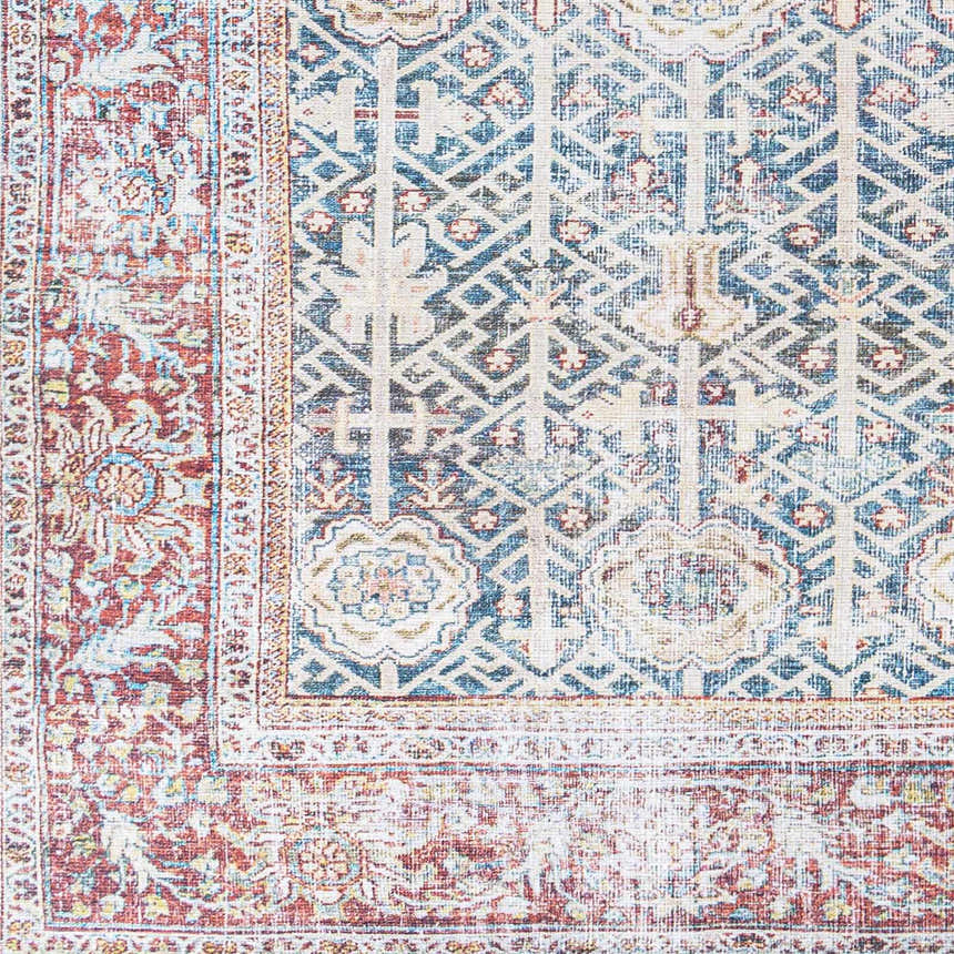 Sample Rust Catadupa Distressed Washable Area Rug - Clearance