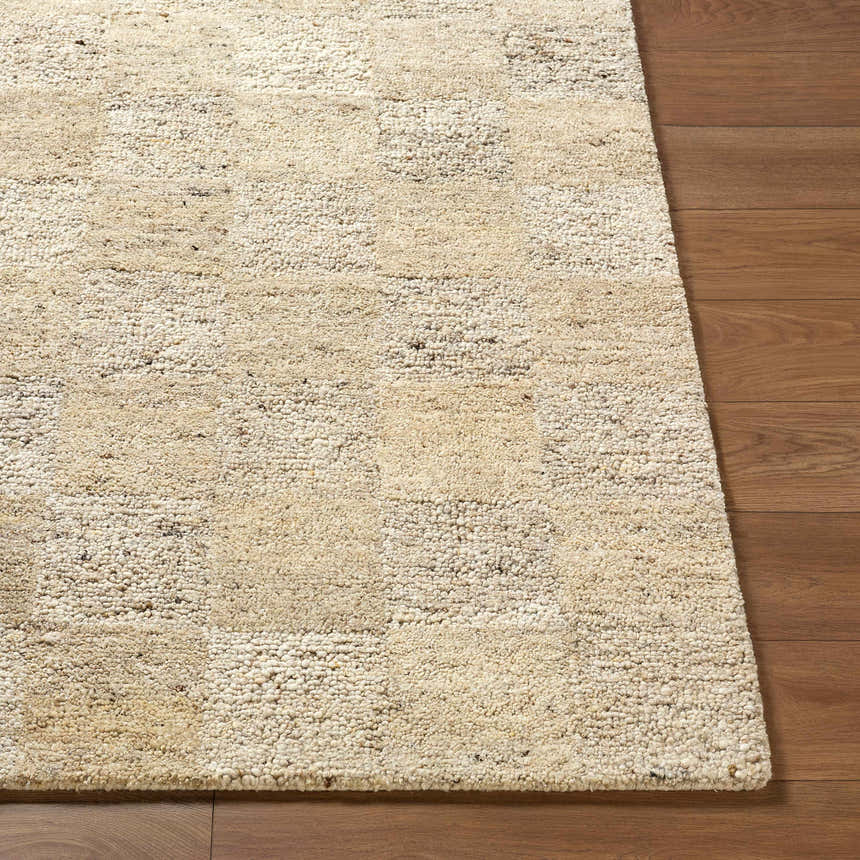 Close-up of the hand-tufted Chasya Sandstone Area Rug, a wool rug in ivory, pebble, sandstone, and taupe, on wood floor. Front
