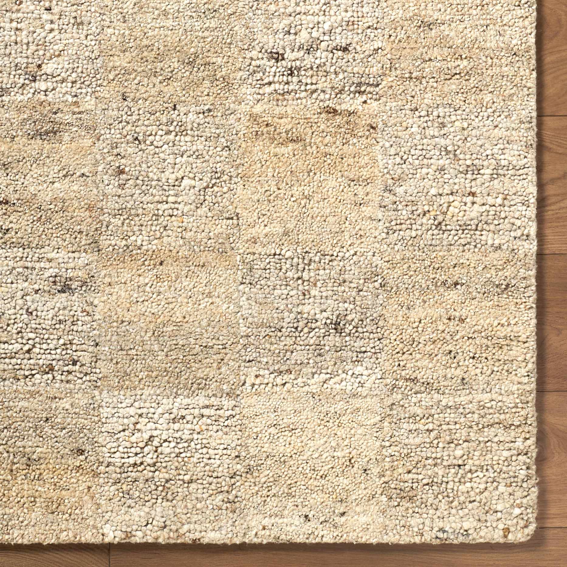 Chasya Sandstone Area Rug – Boutique Rugs