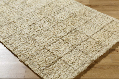 Alodie Grid Wool Rug