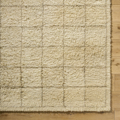 Alodie Grid Wool Rug