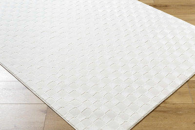 Carina Light Checkered Washable Area Rug