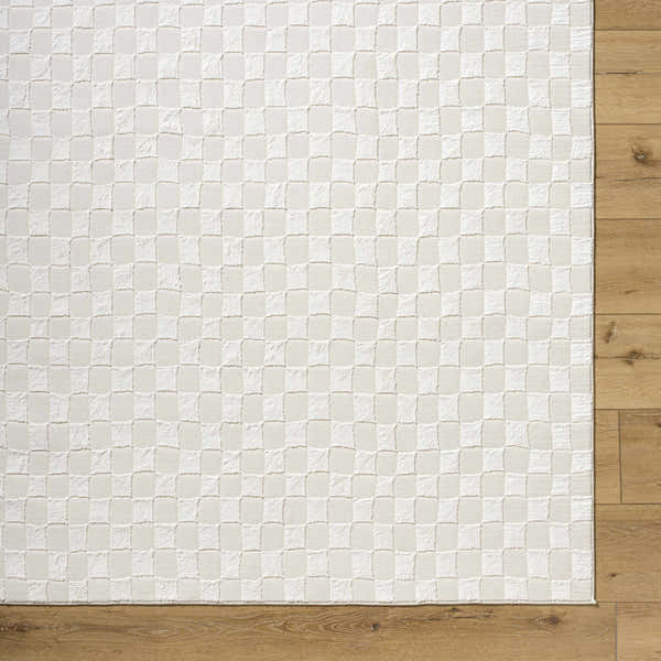 Sample Carina Light Checkered Washable Area Rug