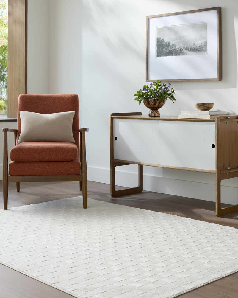 Carina Light 3D Checkered Washable Area Rug – Boutique Rugs