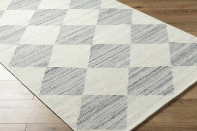 Andrin Light Gray Area Rug - Vivir x Livabliss