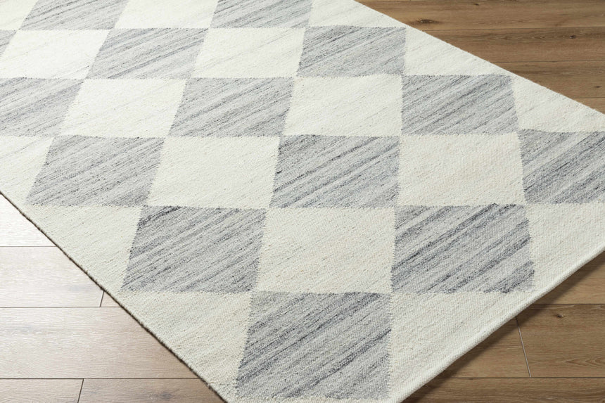 Andrin Light Gray Area Rug