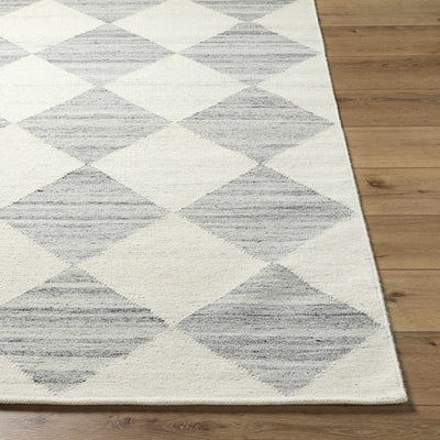 Andrin Light Gray Area Rug - Vivir x Livabliss