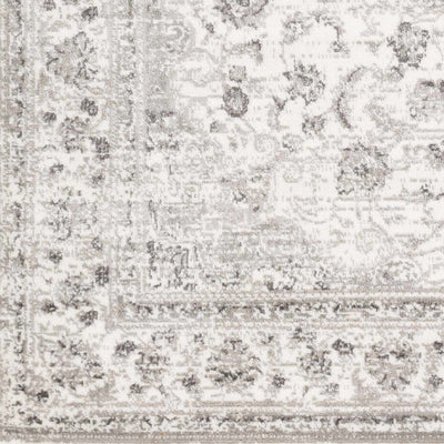 Sample Chicota Area Rug