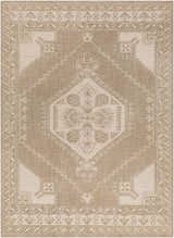 Sample Chan Area Rug - Clearance