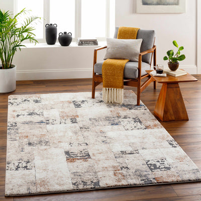 Sample Chitt Area Rug