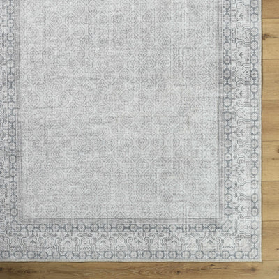 Cloris Gray Washable Area Rug