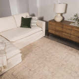 Living room scene with a neutral sofa and the Fetscher V Vintage Damask Area Rug in tan and gray. Roomscene-Rectangle