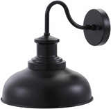 Acultzingo Outdoor Wall Sconce